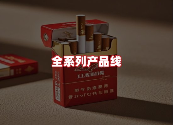 专业团队